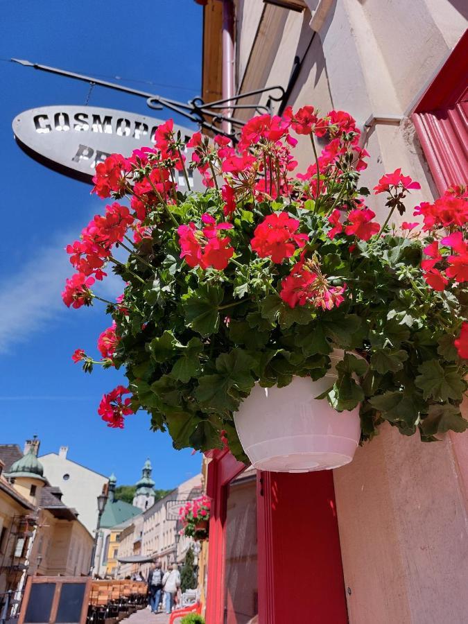 Penzion Cosmopolitan Ii. Otel Banská Štiavnica Dış mekan fotoğraf